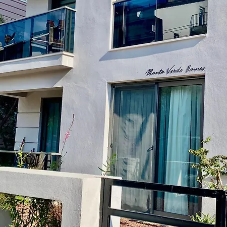 Mama Saggio * 페티예